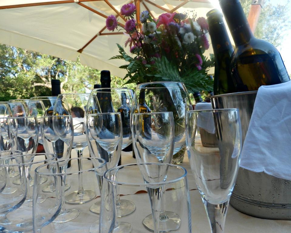 Tenuta Terre Di Bosco Oasi Di Relax Nel Cilento ซานโจวานี อาปีโร ภายนอก รูปภาพ