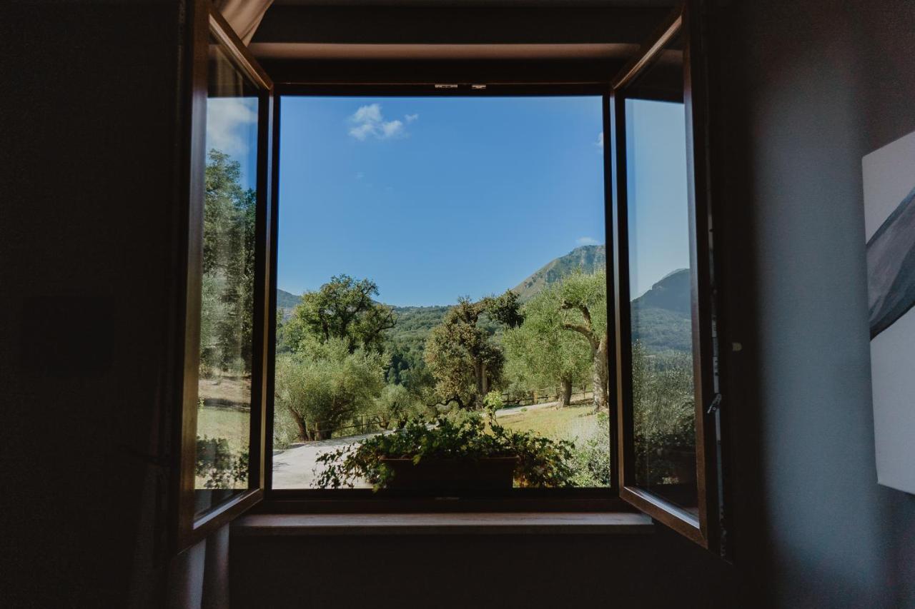 Tenuta Terre Di Bosco Oasi Di Relax Nel Cilento ซานโจวานี อาปีโร ภายนอก รูปภาพ