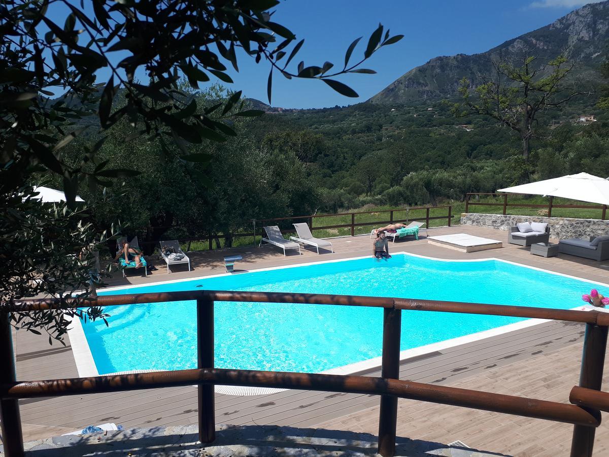 Tenuta Terre Di Bosco Oasi Di Relax Nel Cilento ซานโจวานี อาปีโร ภายนอก รูปภาพ